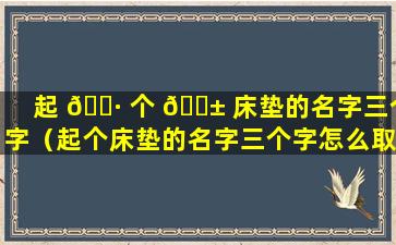 起 🌷 个 🐱 床垫的名字三个字（起个床垫的名字三个字怎么取）